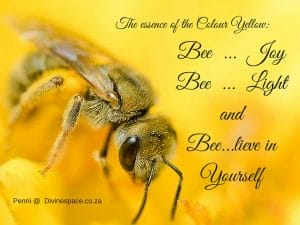 bee joy