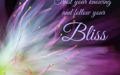 Following Your Bliss – a gentle inquiry