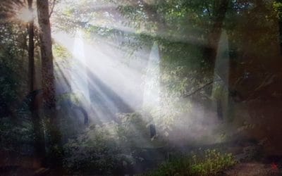Anchoring the 5th Dimension in your sacred space
