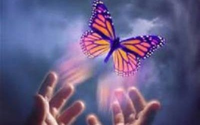 Choosing our way forward